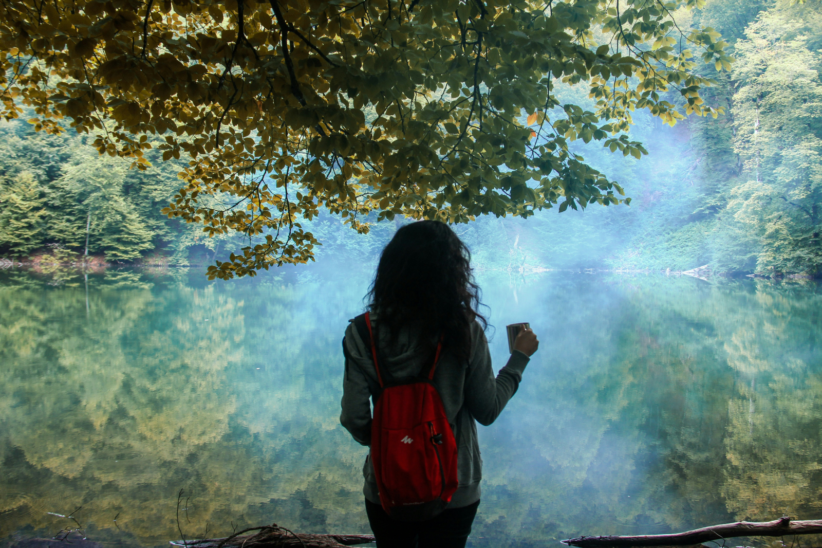 Virtual Historical Site